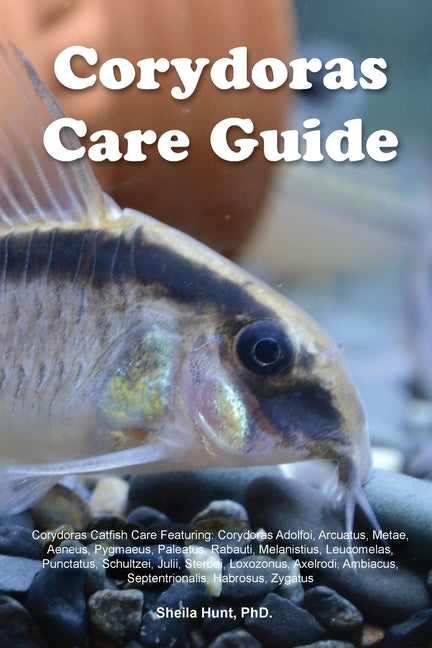 Corydoras Care Guide. Corydoras Catfish Care Featuring: Corydoras Adolfoi, Arcuatus, Metae, Aeneus, Pygmaeus, Paleatus, Rabauti, Melanistius, Leucomel - Ingram