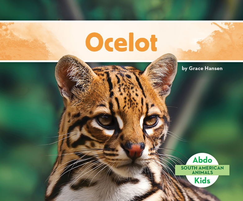 Ocelot - Ingram