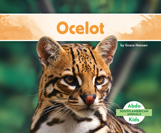 Ocelot - Ingram
