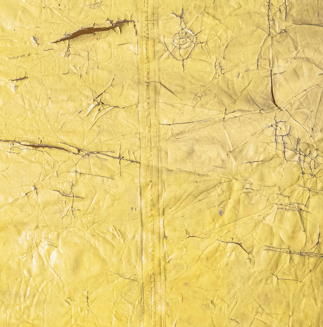 David Hammons - Ingram