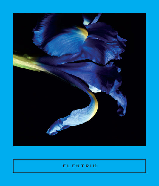 Elektrik: Caribbean Writing - Ingram