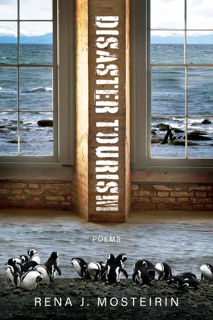 Disaster Tourism - Ingram