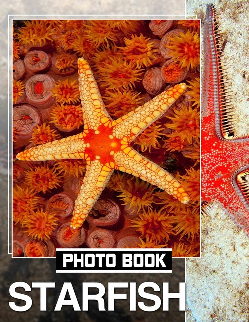Starfish Photo Book: Stunning Images of Sea Stars Featuring 40 Gorgeous Coastal Scenes to Inspire - Ingram