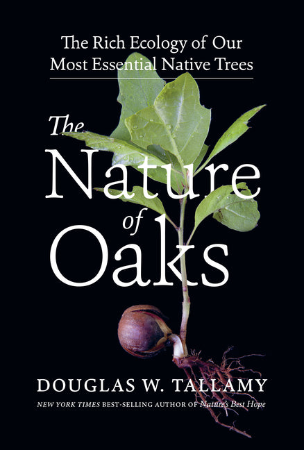 Nature of Oaks: The Rich Ecology of Our Most Essential Native Trees - Ingram