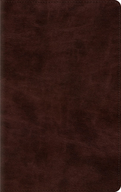Thinline Bible-ESV - Ingram