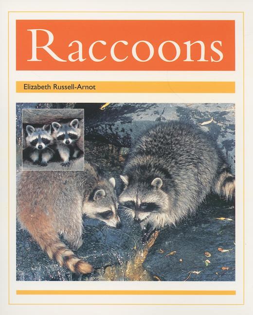 Racoons: Individual Student Edition Gold (Levels 21-22) - Ingram