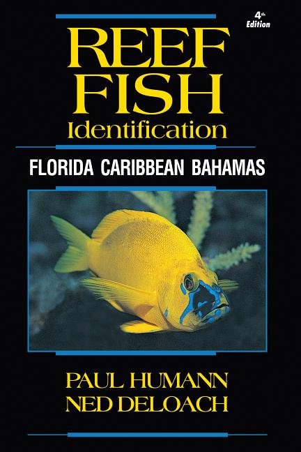 Reef Fish Identification: Florida Caribbean Bahamas - Ingram