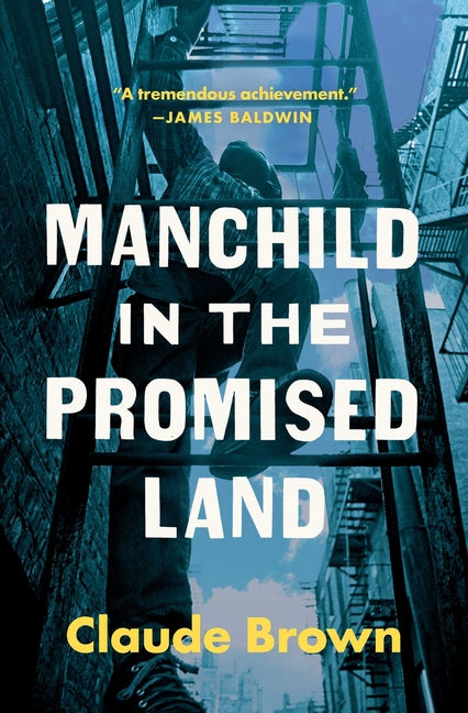Manchild in the Promised Land - Ingram