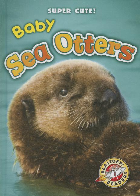 Baby Sea Otters - Ingram