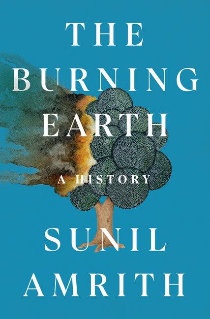 Burning Earth: A History - Ingram