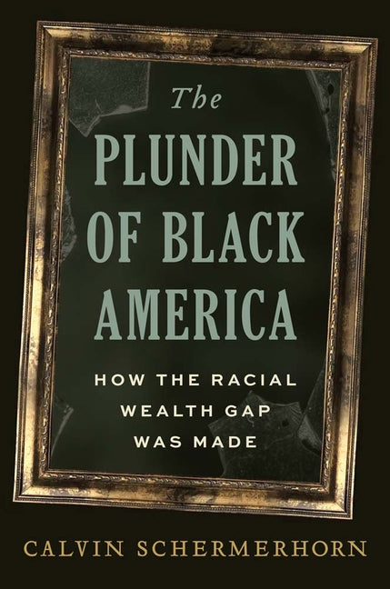 Plunder of Black America: How the Racial Wealth Gap Was Made - Ingram