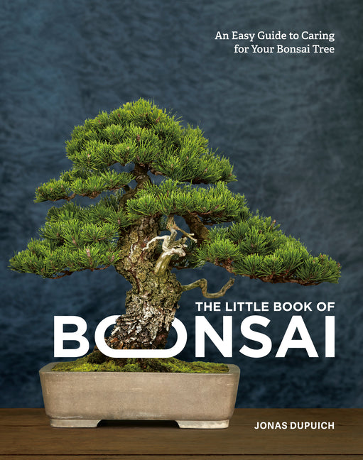 Little Book of Bonsai: An Easy Guide to Caring for Your Bonsai Tree - Ingram