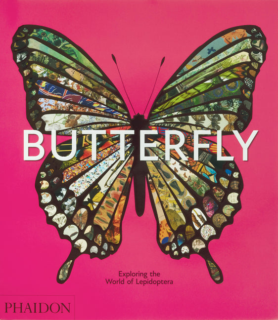 Butterfly: Exploring the World of Lepidoptera - Ingram