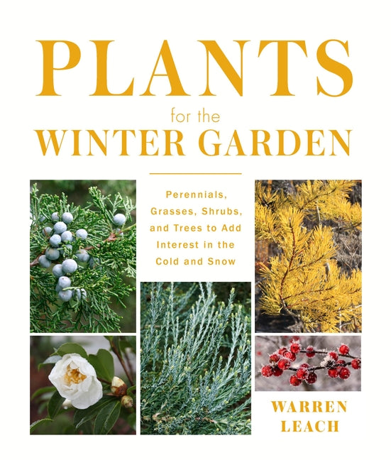 Plants for the Winter Garden: Perennials, Grasses, Shrubs, and Trees to Add Interest in the Cold and Snow - Ingram