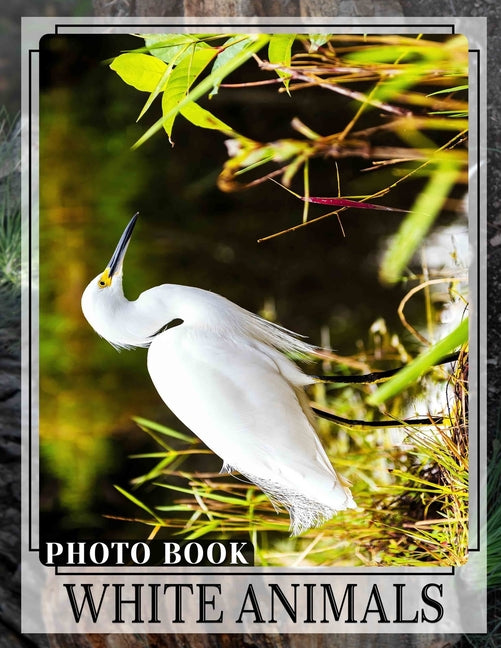 White Animals Photo Book: Collection Of 40 Stunning Images Featuring Incredible Creatures In White Fur And Feathers - Ingram