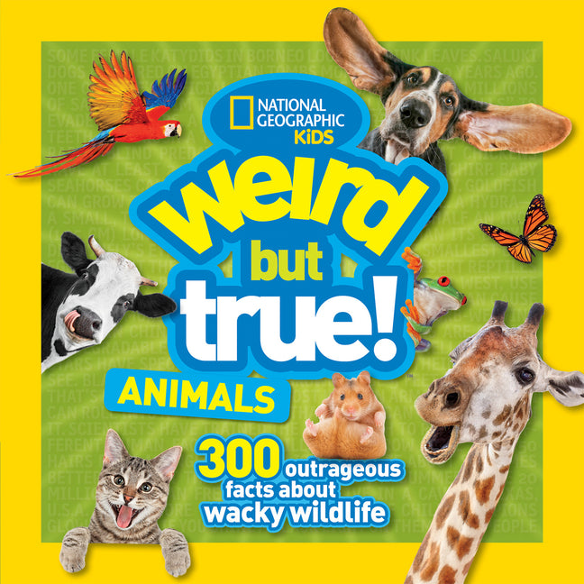 Weird But True! Animals - Ingram
