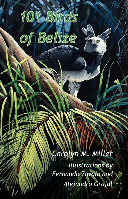 101 Birds of Belize - Ingram