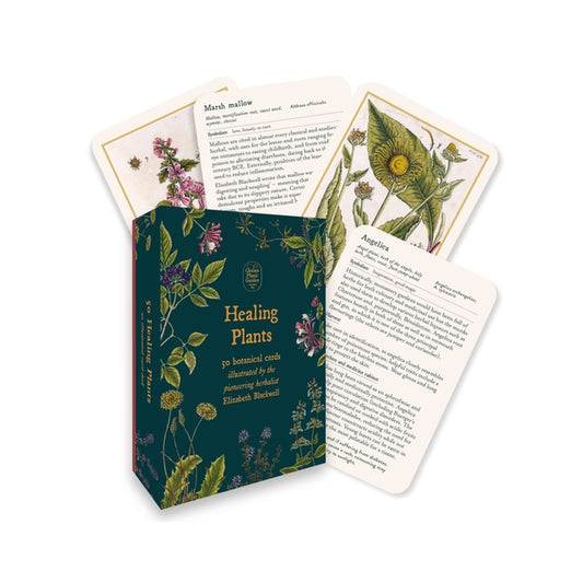 Healing Plants: 50 Botanical Cards Illustrated by the Pioneering Herbalist Elizabeth Blackwell - Ingram