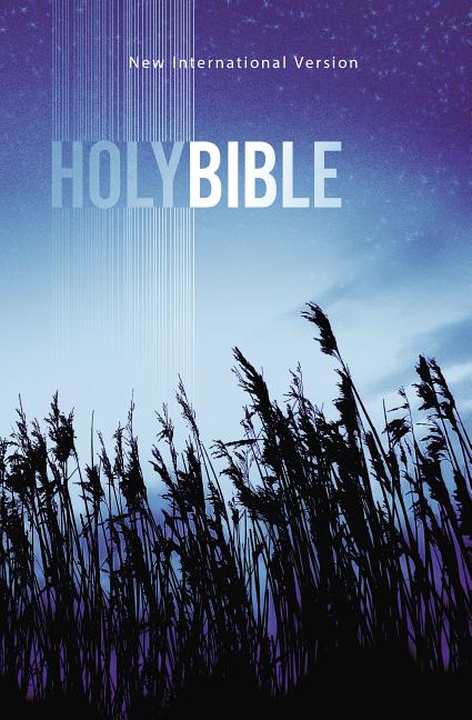 Value Outreach Bible-NIV - Ingram