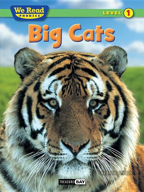 Big Cats - Ingram