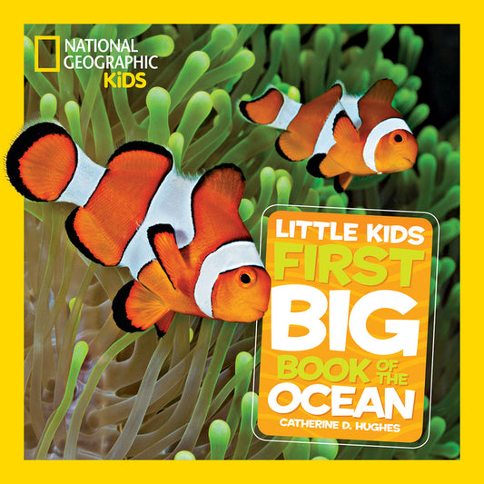 National Geographic Little Kids First Big Book of the Ocean - Ingram