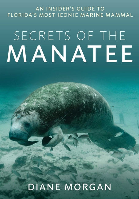 Secrets of the Manatee: An Insider's Guide to Florida's Most Iconic Marine Mammal - Ingram