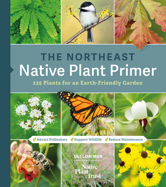 Northeast Native Plant Primer: 235 Plants for an Earth-Friendly Garden - Ingram