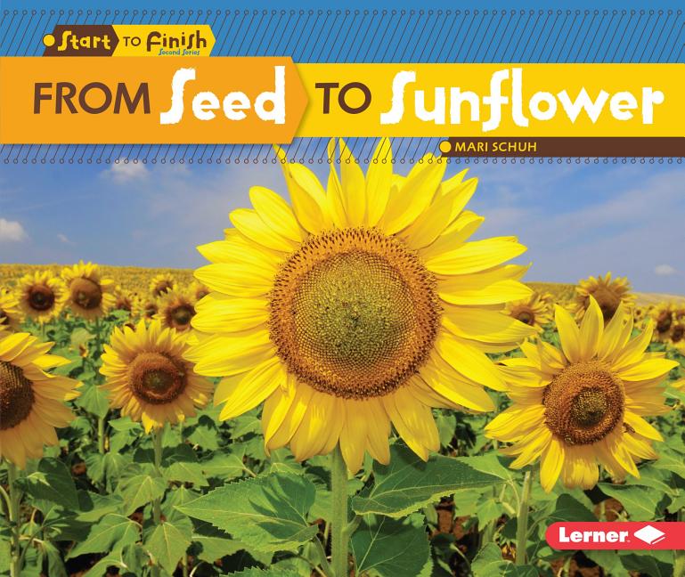 From Seed to Sunflower - Ingram