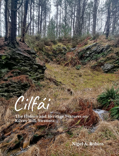 Cilfái: The History and Heritage Features on Kilvey Hill, Swansea - Ingram