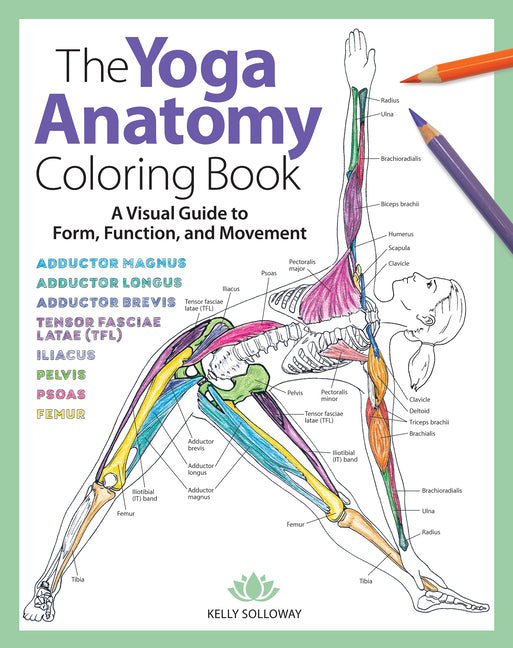 Yoga Anatomy Coloring Book: A Visual Guide to Form, Function, and Movement - An Educational Anatomy Coloring Book for Medical Students, Yoga Teach - Ingram