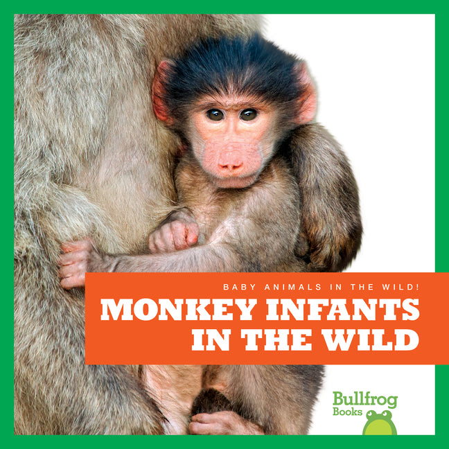 Monkey Infants in the Wild - Ingram