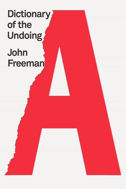 Dictionary of the Undoing - Ingram