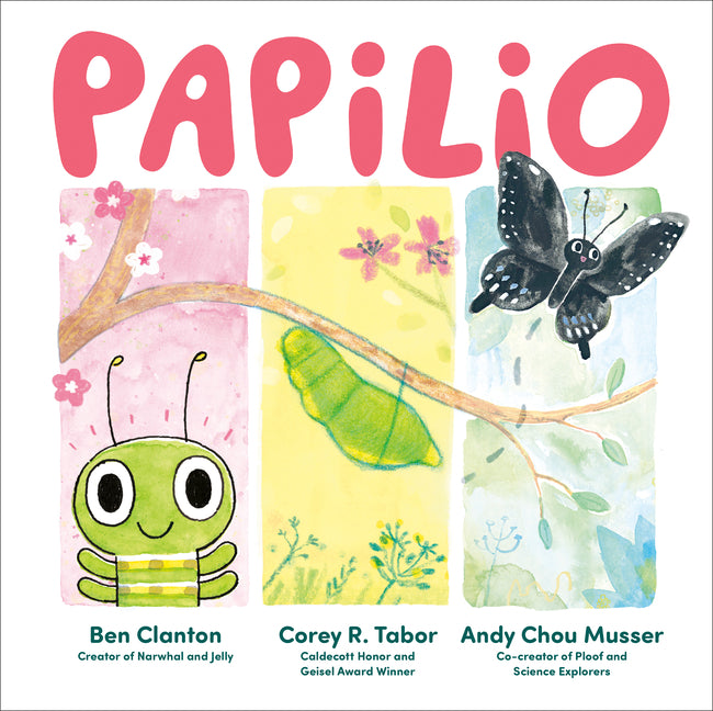 Papilio - Ingram