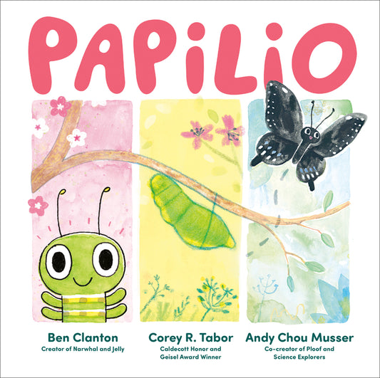 Papilio - Ingram