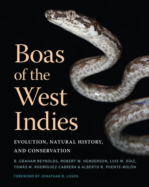 Boas of the West Indies: Evolution, Natural History, and Conservation - Ingram