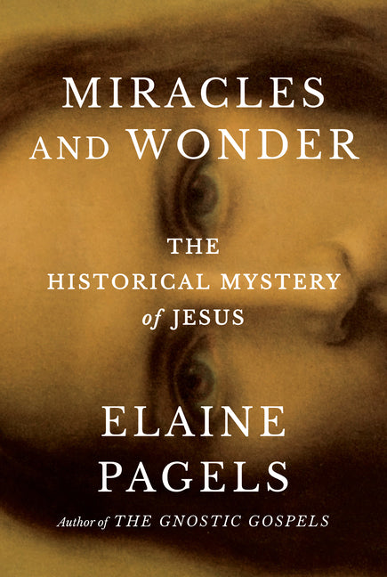 Miracles and Wonder: The Historical Mystery of Jesus - Ingram