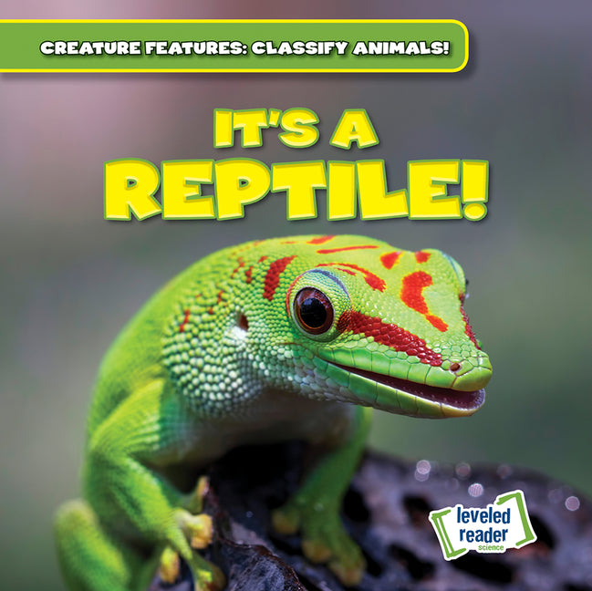 It's a Reptile! - Ingram