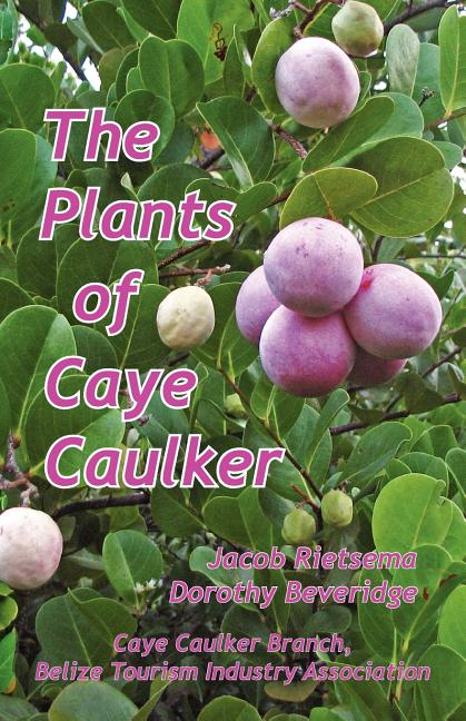 Plants of Caye Caulker - Ingram