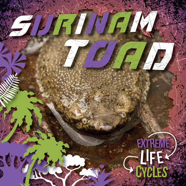 Surinam Toad - Ingram
