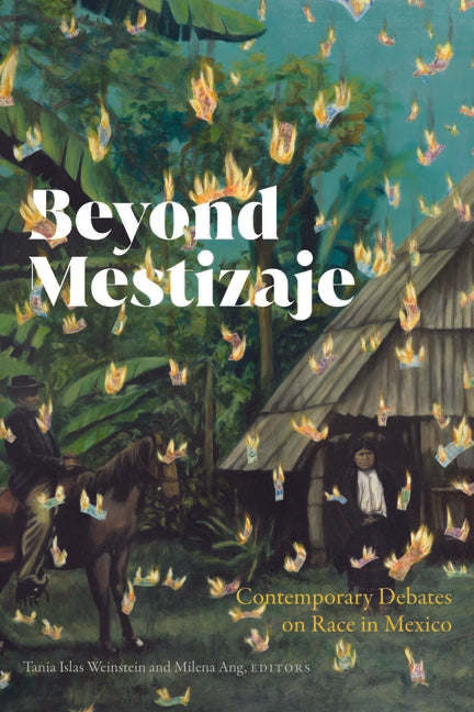 Beyond Mestizaje: Contemporary Debates on Race in Mexico - Ingram