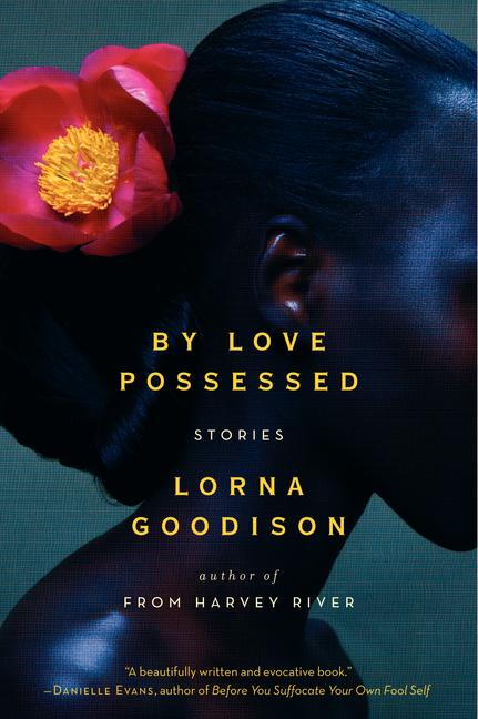 By Love Possessed: Stories - Ingram