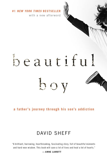 Beautiful Boy: A Father's Journey Through His Son's Addiction - Ingram