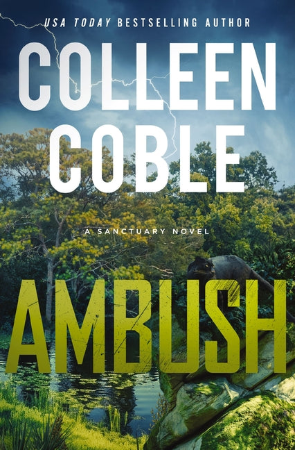 Ambush: A Small-Town Romantic Suspense - Ingram