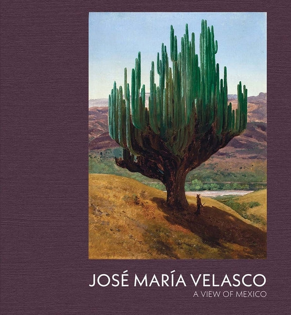 Jose Maria Velasco: A View of Mexico - Ingram