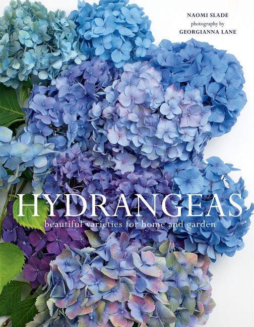 Hydrangeas: Beautiful Varieties for Home and Garden - Ingram