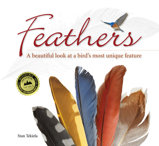 Feathers: A Beautiful Look at a Bird's Most Unique Feature - Ingram