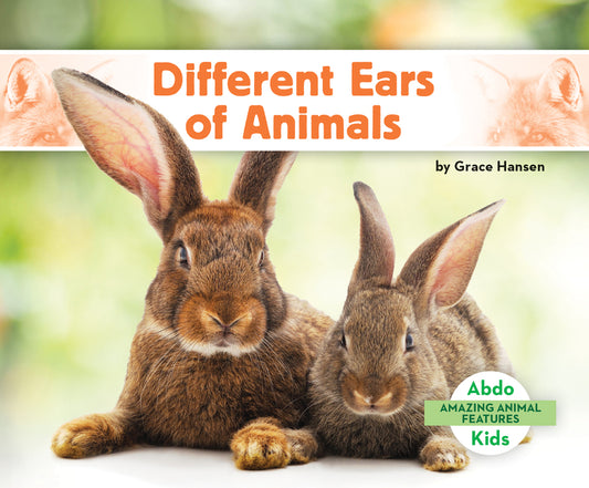 Different Ears of Animals - Ingram