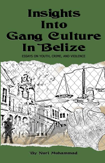 Insights Into Gang Culture in Belize: Essays on Youth, Crime, and Violence - Ingram