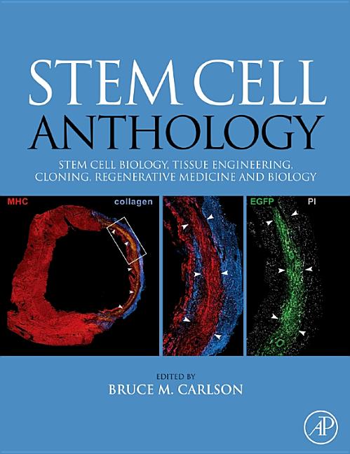 Stem Cell Anthology: From Stem Cell Biology, Tissue Engineering, Cloning, Regenerative Medicine and Biology - Ingram