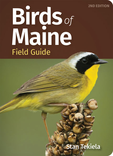 Birds of Maine Field Guide (Revised) - Ingram